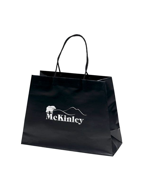 Matte Laminated Paper Bag