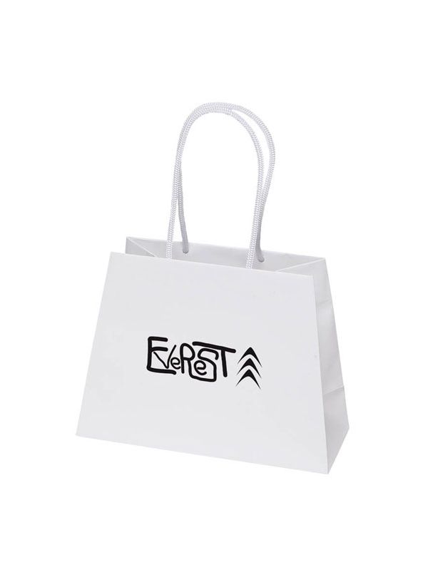 Custom Print Promotional Gift Paper Bags Wholesale Discount Matte Paper