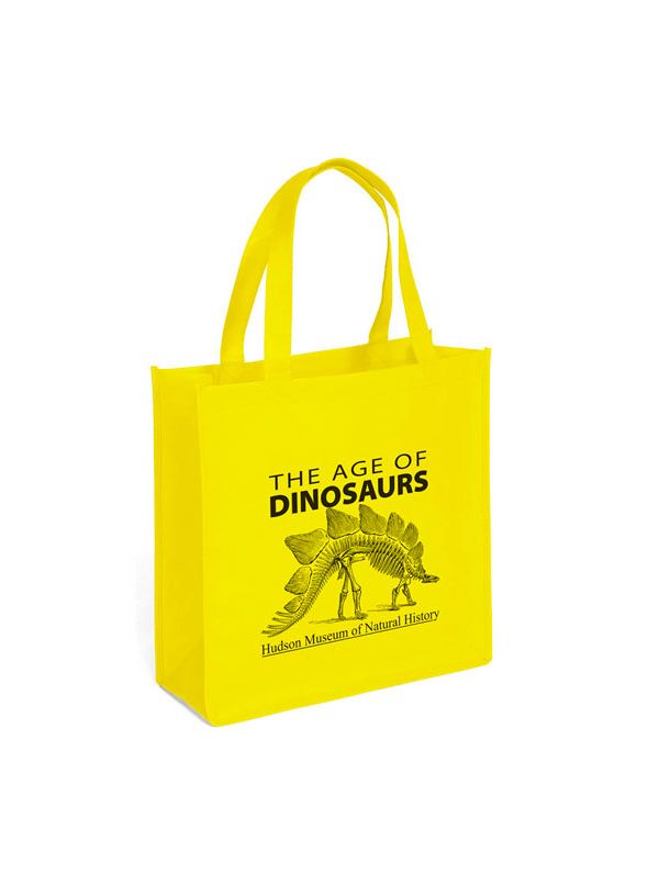 Promotional Reusable Custom Printed Medium Non Woven Gift Bags Bulk Wholesale Discount 939PS1313 Carrygreen