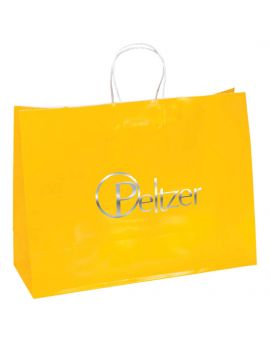 Large Gloss Paper Bag