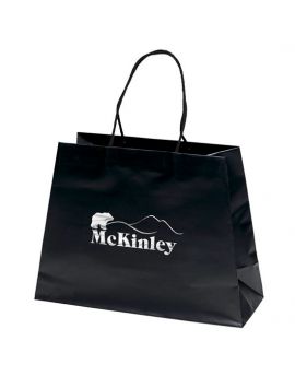 Matte Laminated Paper Bag