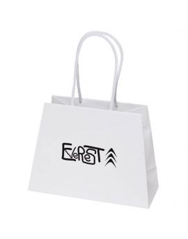 Matte Laminated Paper Bag