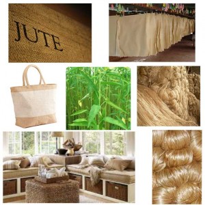 usesofjute