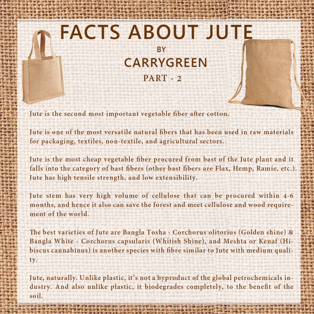 facts-about-Jute-part2a